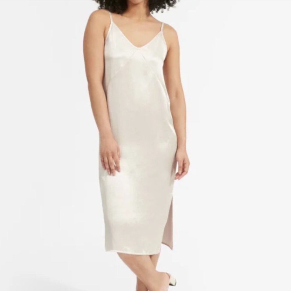 WORN ONCE EVERLANE Silk Party Slip Dress